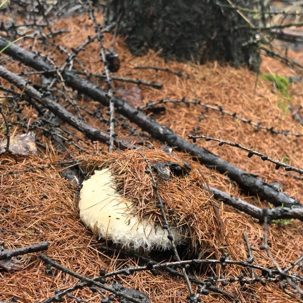 Источник: читатель «Чита.Ру»