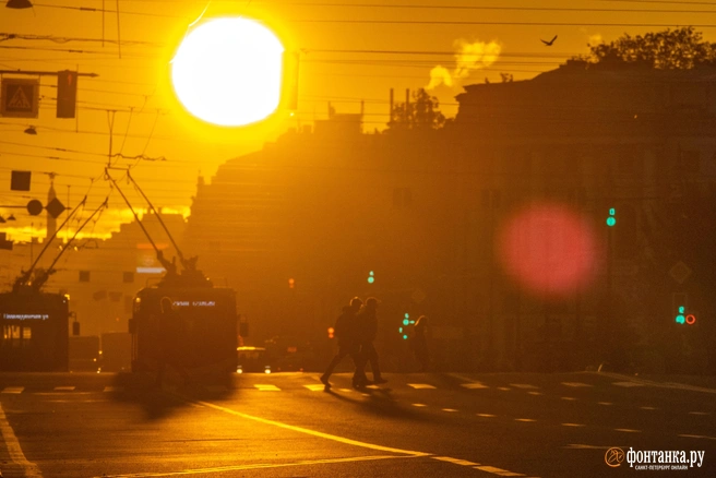 Пока одни радуются солнцу, другим его активность дорого обходится | Источник: Михаил Огнев / FONTANKA.RU