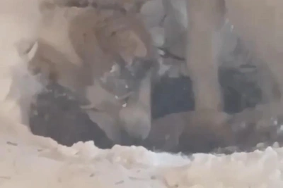 Под Волгоградом фермера обвинили в жестокости к животным