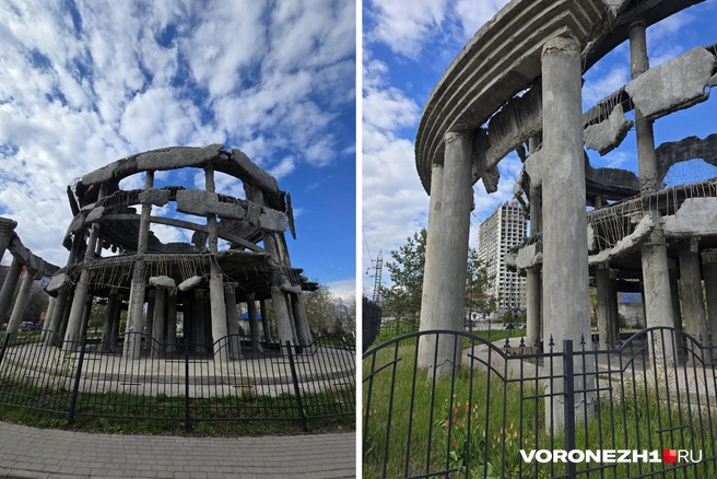 Источник: Ирина Булгакова / Voronezh1.ru