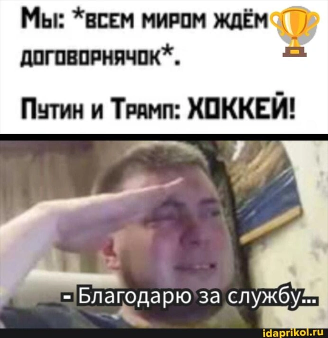 Источник: Соцсети