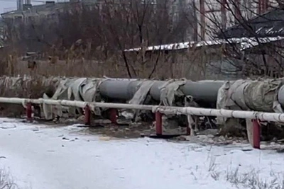 Stray dog pack attacks pedestrian in Volgograd