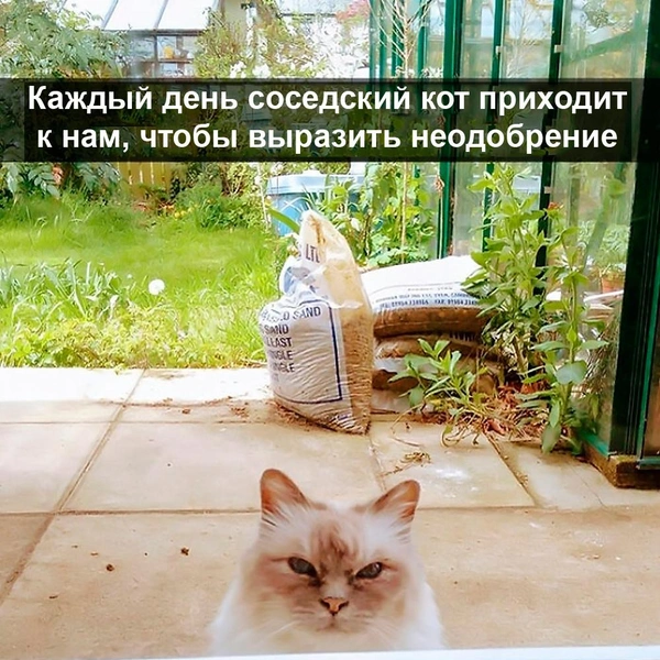 Источник: соцсети