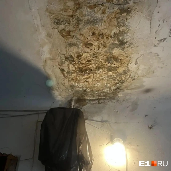 В подъезде щиток закрыт пакетом, потому что сверху капает вода | Источник: читательница E1.RU