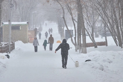 МЧС предупредило о шторме в Рязани