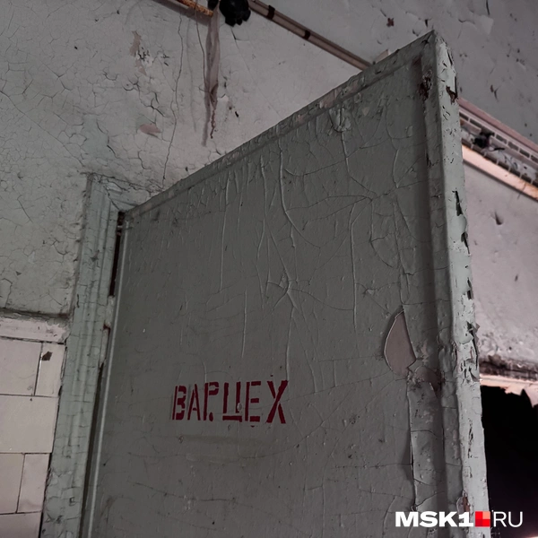 Источник: Алина Мельникова / MSK1.RU