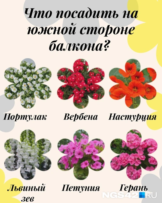 Источник: Татьяна Ирискина / NGS42.RU