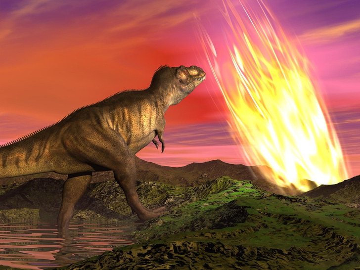 shutterstockКратер диаметром 180 км образовался при падении астероида 65 млн лет назад. По одной из гипотез, поднятая им пыль и сажа снизили поступление солнечного света и тепла. Гибель растений привела к вымиранию динозавров. Но многие палеонтологи указывают, что вымирание началось задолго до падения астероида. И даже серьезная катастрофа не привела бы к быстрой гибели доминирующей фауны, если бы динозавры не испытывали эволюционной конкуренции со стороны млекопитающих.