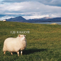 Аватарка Бубль в рублике