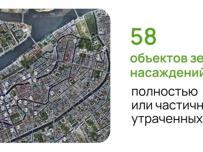 Предварительная карта адресов, где появятся новые деревья | Источник: комитет по природопользованию