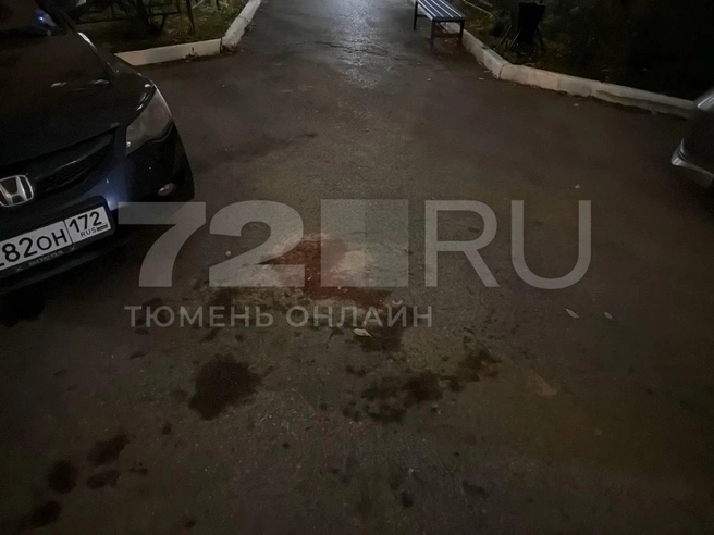 На асфальте там, откуда ночью раздавался женский крик, остались засохшие следы крови | Источник: Анастасия Малышкина / 72.RU
