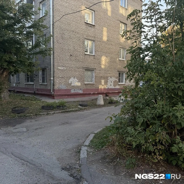 Источник: Полина Шевчукова / NGS22.RU