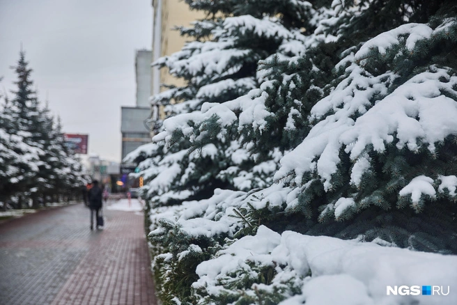 Дойдет ли стихия до нас? | Источник: Александр Ощепков / NGS.RU