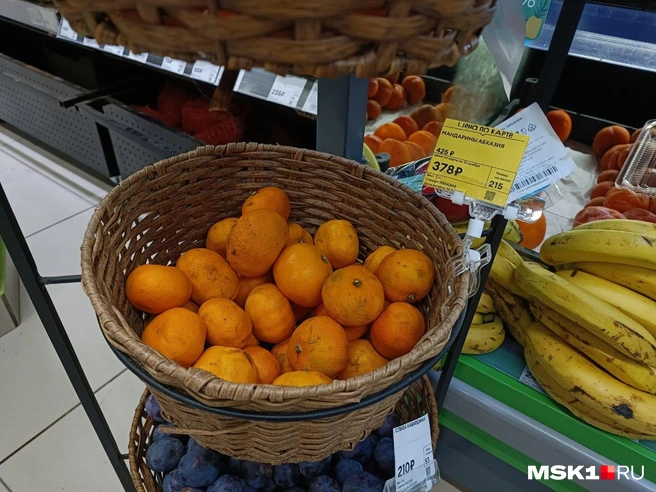 Источник: Анастасия Харитонова / MSK1.RU