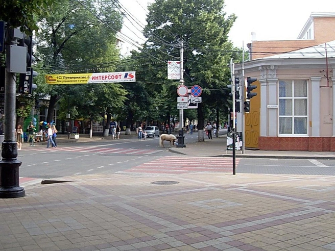 Пересечение Красной и Чапаева. У пешеходного перехода видно пони | Источник: Сергей Свистунов / Svistuno-sergej.narod.ru