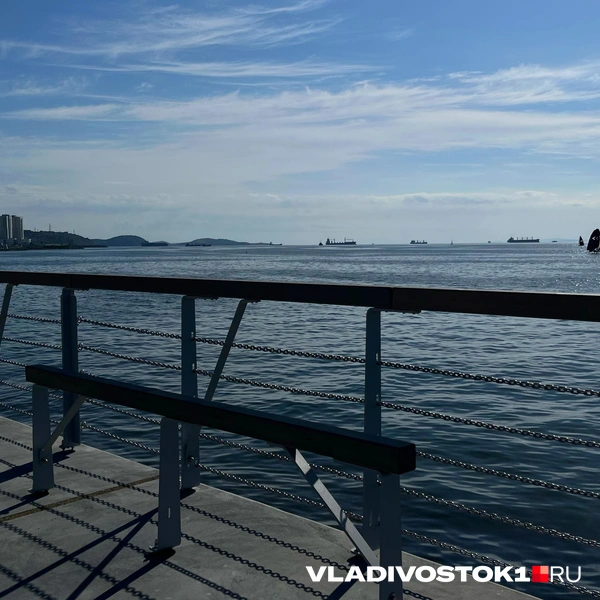 Источник: Елена Буйвол / VLADIVOSTOK1.RU