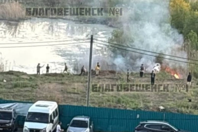 Дети подожгли сухую траву в Благовещенске