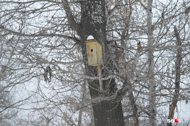 Кто в домике живет? | Источник: Анастасия Баринова / 56.RU