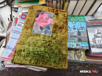 Источник: Серафима Путиева / MSK1.RU