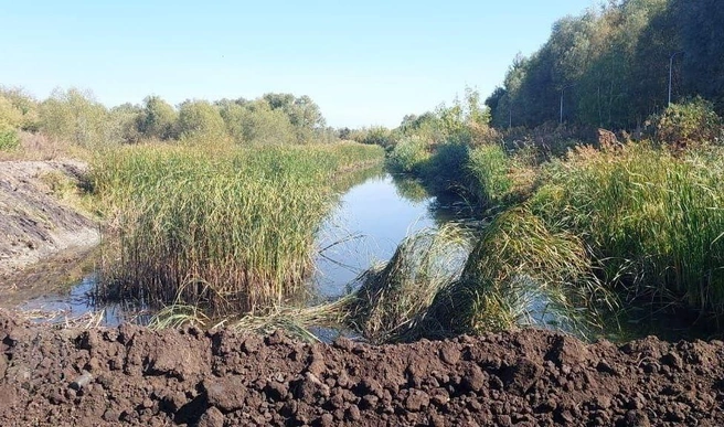 Возведенную рабочими плотину убирали своими силами местные жители | Источник: Минприроды Воронежской области / T.me