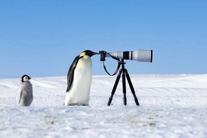 Победитель в номинации «Фотограф года». | Источник: Томас Виджаян
