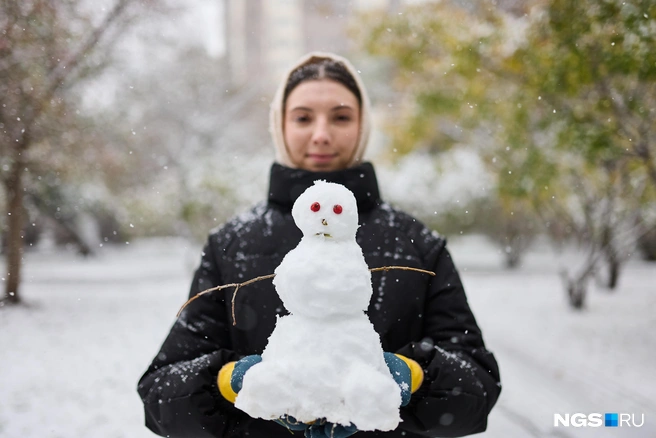 Источник: Александр Ощепков / NGS.RU