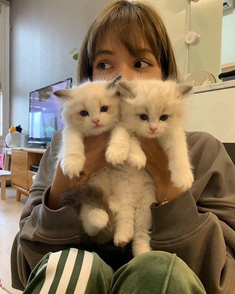 Источник: @lalalalisa_m