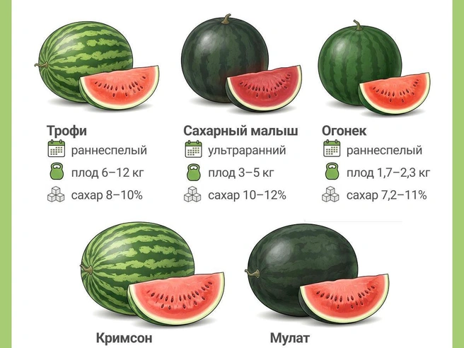 Источник: Юрий Орлов / Городские медиа