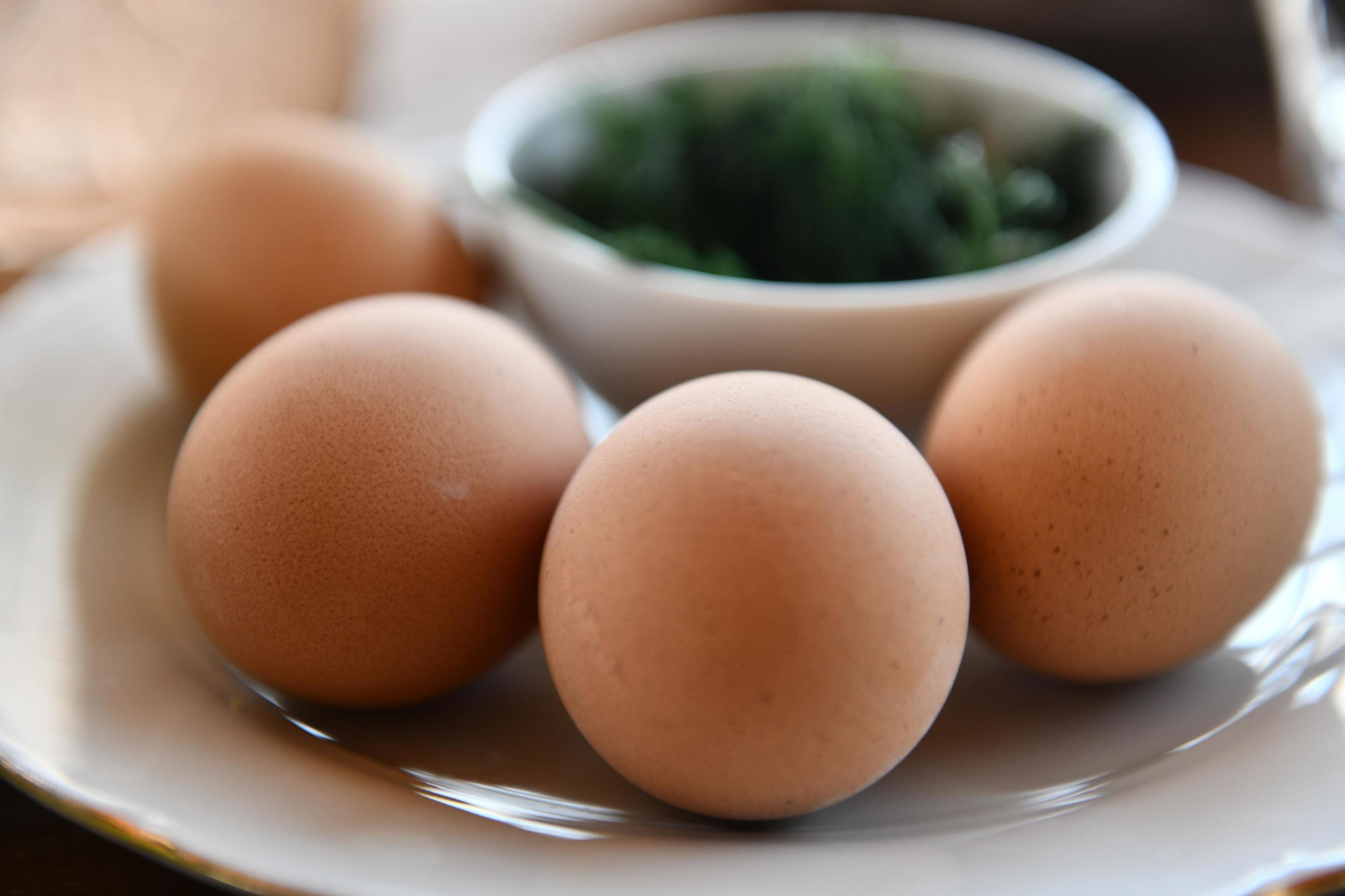 Стальные яйца не знают, что делать - Антибабский форум