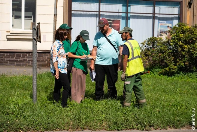 Источник: st.cherinfo.ru