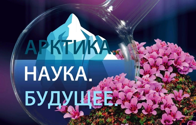 Участников ждут пять дней экспериментов, открытых лабораторий и интеллектуальных игр  | Источник: Пресс-служба Северного Арктического федерального университета имени М.&nbsp;В.&nbsp;Ломоносова