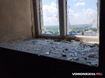 Источник: Дмитрий Волгин / Voronezh1.ru