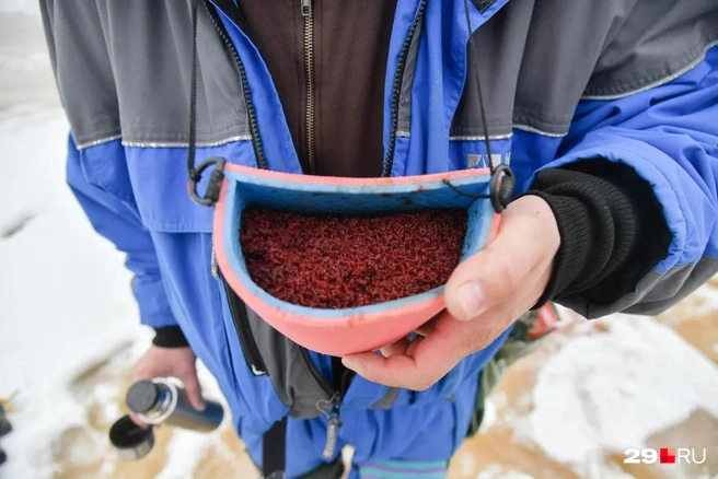 Прикормка для рыб | Источник: Иван Митюшёв / 29.RU