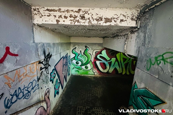 Чаще всего страдает городское имущество | Источник: Елена Буйвол / VLADIVOSTOK1.RU