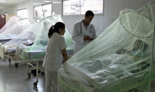 Минздрав просит россиян не ездить в Южную Америку из-за эпидемии лихорадки Денге