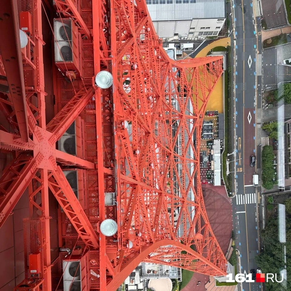 Источник: читатель 161.RU