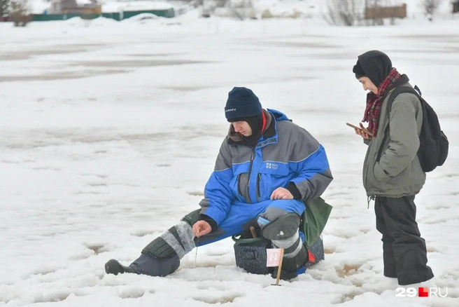 Пристала к Алексею с вопросами  | Источник: Иван Митюшёв / 29.RU
