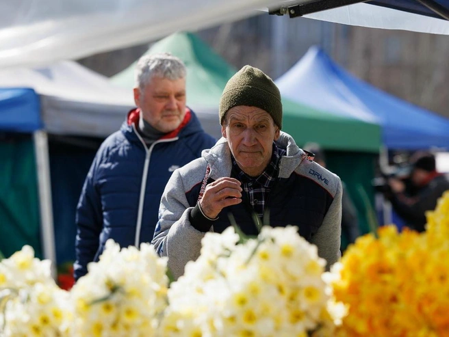 Мимоза или роза — что предпочтете? | Источник: Алексей Волхонский / V1.RU