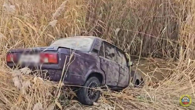 В Волгограде подростки на «пятерке» влетели в водоем. Выжить удалось не всем | Источник: Госавтоинспекция Волгоградской области