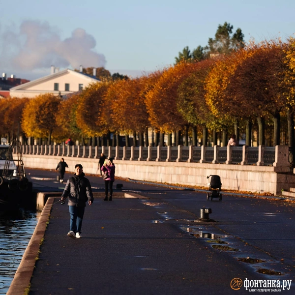 Источник: Валентин Егоршин / «Фонтанка.ру»