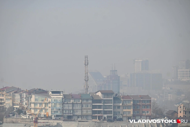 Источник: Елена Буйвол / VLADIVOSTOK1.RU
