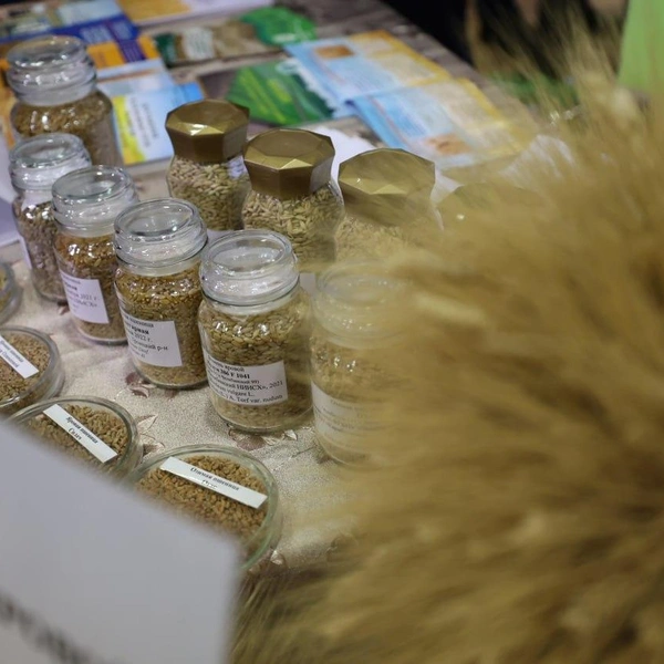 Источник: пресс-служба правительства Челябинской области 