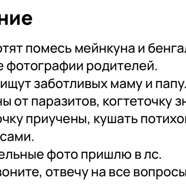 Котята обработаны от паразитов  | Источник: сайт бесплатных объявлений