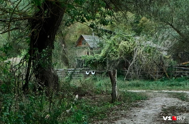 В лесной части село изобилует колоритными домиками местных жителей | Источник: Илья Воробушкин / V1.RU