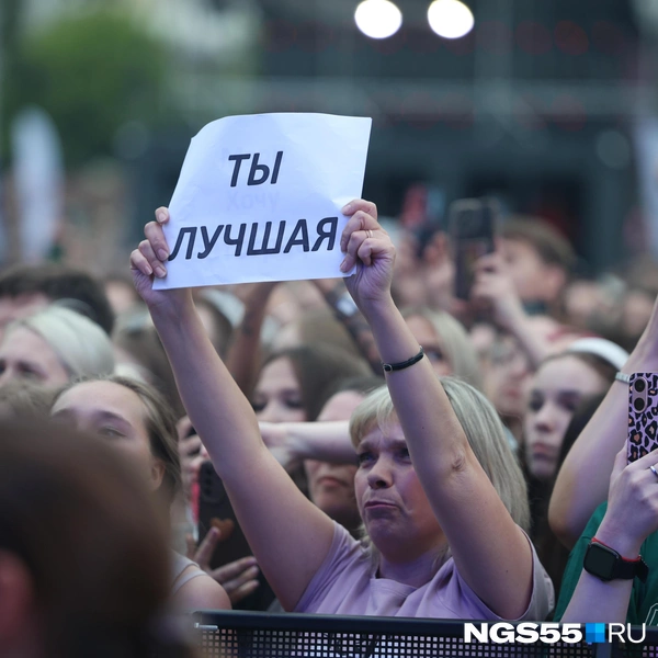 Вот такая лаконичная поддержка | Источник: Евгений Софийчук / NGS55.RU