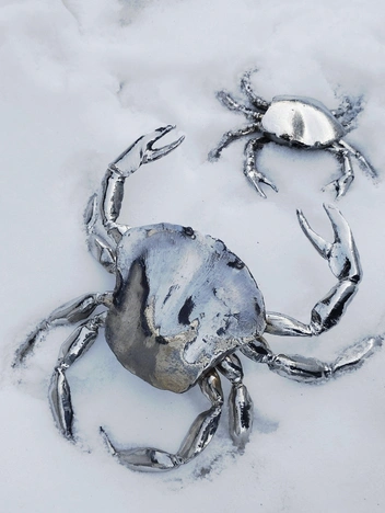 Крабы — главная фишка таких блюд | Источник: личный архив Владимира Кашина