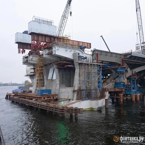 Источник: Сергей Николаев / «Фонтанка.ру»