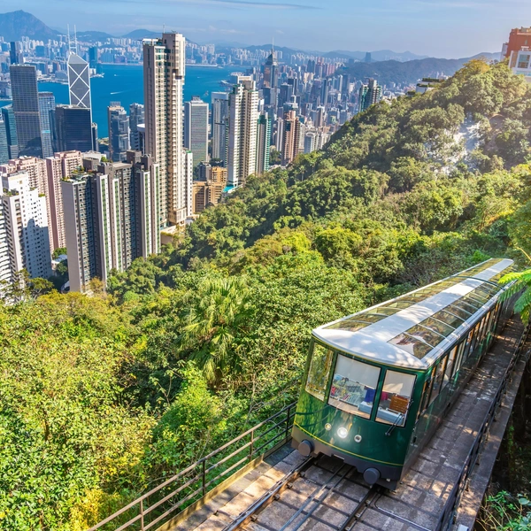 Источник: aapsky/Shutterstock/Fotodom.ru