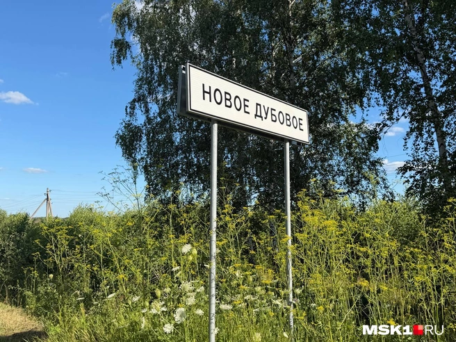 До села Нового Дубового, где была прописана Ведлер, добираться от Липецка больше полутора часов | Источник: Вера Борисова / MSK1.RU
