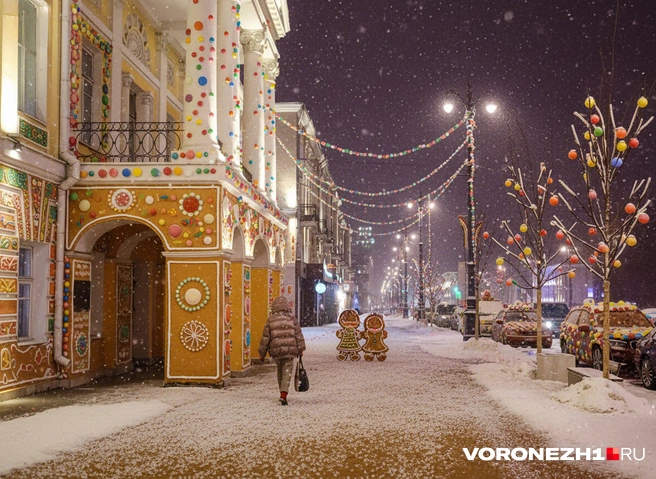 Источник: администрация Воронежа / voronezh-city.ru; Полина Авдошина / Городские медиа